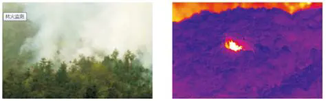 1741959203437.png 640.webp (12).png