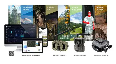 1741959307168.png 640.webp (15).png